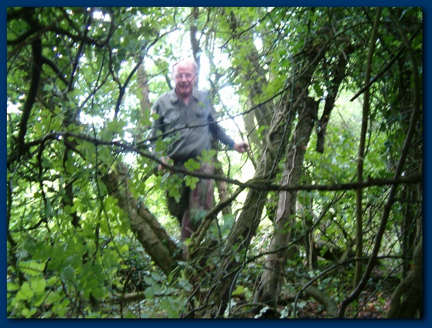 600x449 pixels (186K)